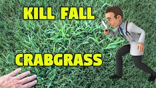 Kill Fall Crabgrass  Lawn Care [upl. by Jennica700]