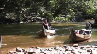 Taman Negara National Park MAL7 Malaysia [upl. by Monafo]