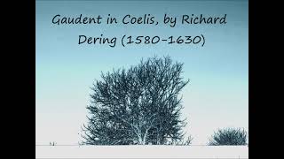 Gaudent in Coelis Richard Dering [upl. by Revlis]