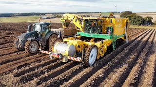 Tatties 2024  Brand New Oxbo 4 Row Harvester [upl. by Baalbeer]