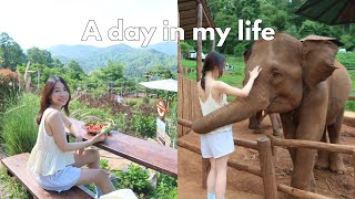 Thailand Travel Vlog  Relax with me at Elephant Cafe 🐘🍌 Jazz night What I Eat in a Day in Chimang [upl. by Lladnar]