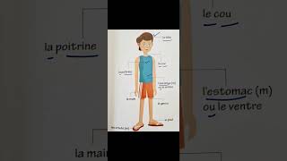 Body parts in French frenchforbeginner cbse shortvideo french [upl. by Rafat149]