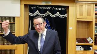 Parsha Shiur Noach [upl. by Yenal]