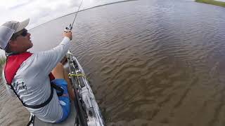 Using the Heddon torpedo [upl. by Crotty419]