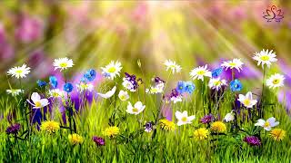 Magic Of Spring Meditation Music  Relaxing  Sleep Music Stress Relief [upl. by Ayad288]