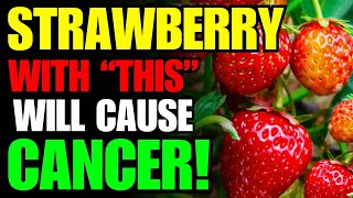 Never Eat Strawberry with quotThisquot🍓 Cause Cancer Dementia 3 Best amp Worst Food Recipe Health Benefits [upl. by Alvis]