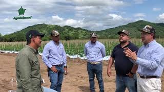 AgroScience  Conoce lo que es Capaz de Hacer TurgentCa en tu Cultivo  Explicado por Oscar Cabrera [upl. by Stormy]