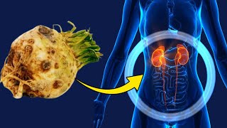 10 INSANE Reasons Why Celeriac Should Be in EVERY Meal Celeriac Uses and Benefits [upl. by Rehpretsirhc]