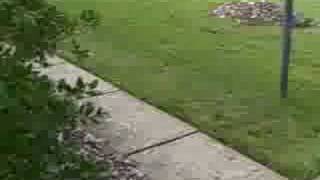 How To Aerate and Seed Lawn Charlotte [upl. by Leanard36]