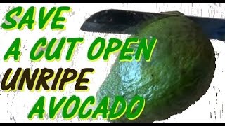 Save and ripen an unripe opened avocado  avocado cut n shut ✔ [upl. by Steinke]