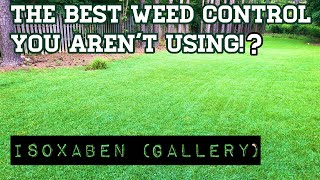 Is this a “Holy Grail” product for Weeds in Centipede Grass  Isoxaben Gallery herbicide [upl. by Einafets]