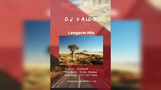 DJ ValdoLangarm Mix [upl. by Aenal]