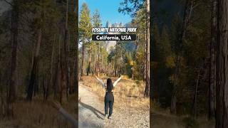 Yosemite in Fall A Glorious Tapestry of Golden Leaves and Majestic Autumn Vistas 🇺🇸 shortsfeed [upl. by Jimmie]