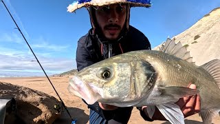 إختيار موليني مناسب🤔 مميزات penn 2500👈إختبار مباشر مع سمكة درعي كبيرة🔥 penn vs shimano [upl. by Tsyhtema]