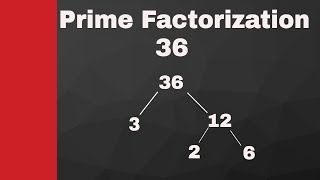 Prime Factorization of 36 and 196 [upl. by Nnylidnarb]