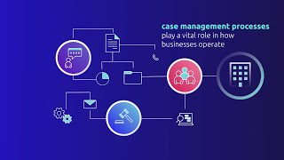 Case Management Studio [upl. by Rozina891]