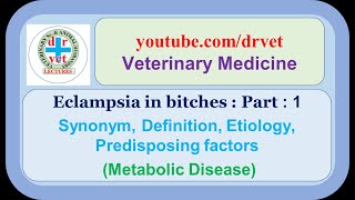 Eclampsia in bitches Part 1 synonym definition etiology predisposing factors [upl. by Dnomse]