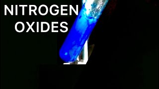 Making Dinitrogen Trioxide and Nitrogen Dioxide 12 [upl. by Dewey]