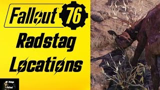 Fallout 76 Radstag Locations [upl. by Ligetti863]