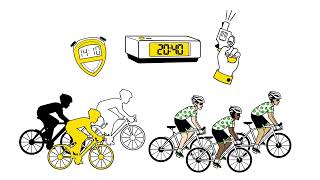 Essential information about Mallorca 312 [upl. by Miksen]