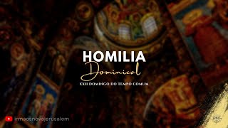 Homilia  22º Domingo do Tempo Comum  Ano B [upl. by Nodlehs217]