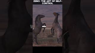 Zeno the Art of Self Control inspiration motivation mindset shorts [upl. by Ennairod]