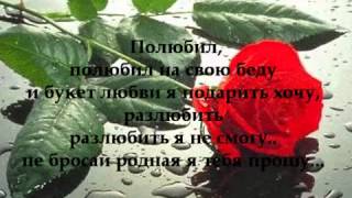 Эльдар Далгатов  Полюбил Eldar Dalgatov  Polubil and Lyrics [upl. by Dave]