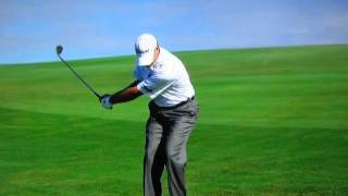 Steve Stricker  Pitch Shot Slow Motion [upl. by Yam]