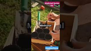 Medicinal Garden Kit health gardening gardeningtips medicinal home gardenplants [upl. by Lentha523]