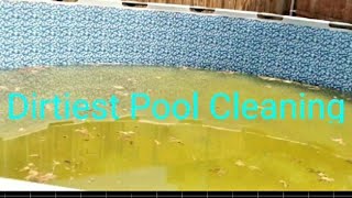 How to Clean Above The Ground Pool Green PoolDIY [upl. by Sherwood]