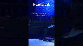 Five Stages of Healing from a Breakup shorts 427 [upl. by Ahsinauq]