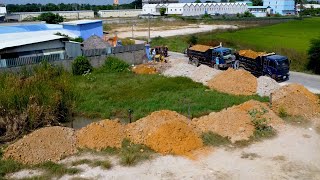 Completed Project with Dozer amp Dump Truck using soil into water [upl. by Smaoht294]