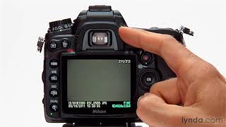 Nikon DSLR Tutorial  Shooting with the continuous mode [upl. by Ihtak]