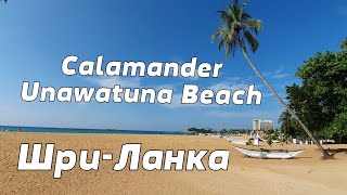 Отель Calamander Unawatuna Beach Унаватуна ШриЛанка [upl. by Birkner2]