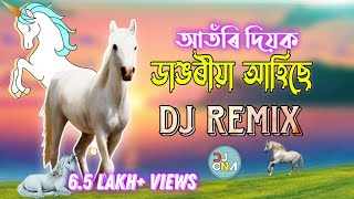 Dangoria Ahise Atori Diok । Viral Assamese Dialogue । DJ CNA । Dialogue With Beat Mix 2024 [upl. by Botti831]