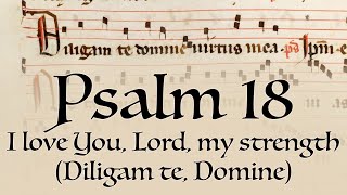 Psalm 18 • I love You Lord my strength Diligam te [upl. by Llyrad358]