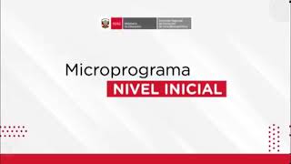 ELABORACIÓN CONCLUSIONES DESCRIPTIVAS NIVEL INICIAL [upl. by Heins]