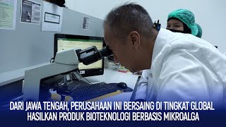 Perusahaan Ini Bersaing di Tingkat Global Hasilkan Produk Bioteknologi Berbasis Mikroalga [upl. by Kirad168]