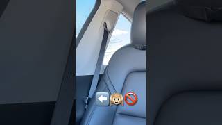 Tesla Seat Belt RattleEZ FIX tesla seat belt seatbelt knock bang rattle model3 modely [upl. by Erdied]