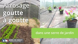 Comment installer un arrosage goutte à goutte dans une serre de jardin [upl. by Fredra756]