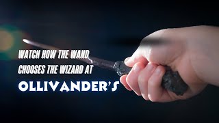 Wand Ceremony  Ollivanders Wand Shop  Wizarding World of Harry Potter Universal Studios Orlando [upl. by Rebm]