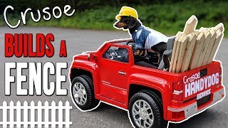 Ep 3 Crusoe the Handydog Build a Fence  Cute Dachshund Video [upl. by Nakasuji]