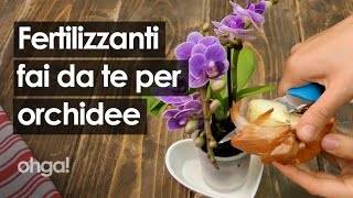 Fertilizzante per orchidee 3 preparazioni casalinghe per far fiorire la tua orchidea [upl. by Iarahs119]