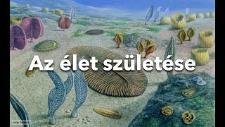 Mindennapi tudomány  Az élet születése [upl. by Niamrej]