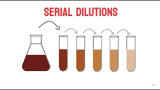 Serial Dilutions  Microbiology [upl. by Valiant448]