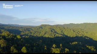 Restauración de Bosques en el Chocó Andino de Quito [upl. by Rector462]