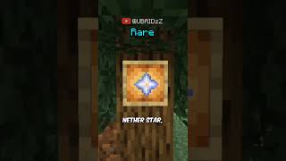 Rarest Items In Minecraft [upl. by Gilson498]