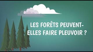 Les forêts peuventelles faire pleuvoir [upl. by Novyert]