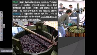 Wine production process of wine wine making [upl. by Sandra442]