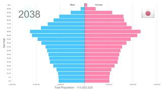 Japan Population Pyramid 19502100 [upl. by Marlee]